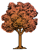 tree23.gif (4347 bytes)
